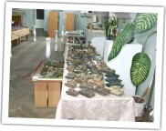 XIV Podkarpacka Wystawa Modeli Plastikowych i Kartonowych, Strzy��w'2007 
