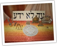 Zobacz galeri� zdj��